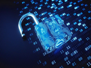 دوره امنیت شبکه فرهوش